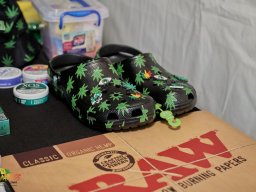 Cannabliss Events